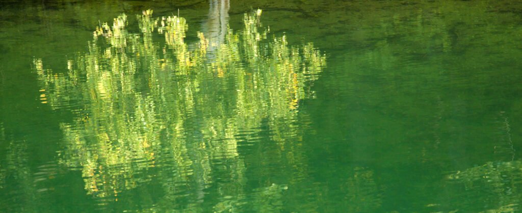 title image for the ripples foundation