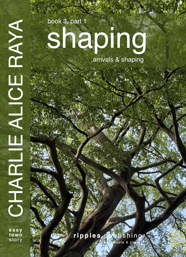 book cover, book 3, shaping, part 1, Charlie Alice Raya