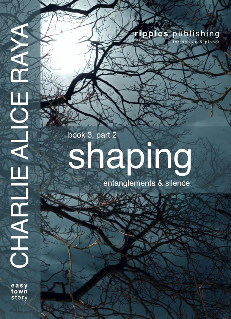 book cover, book 3, shaping, part 2, Charlie Alice Raya