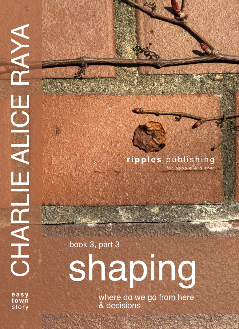 book cover, book 3, shaping, part 3, Charlie Alice Raya