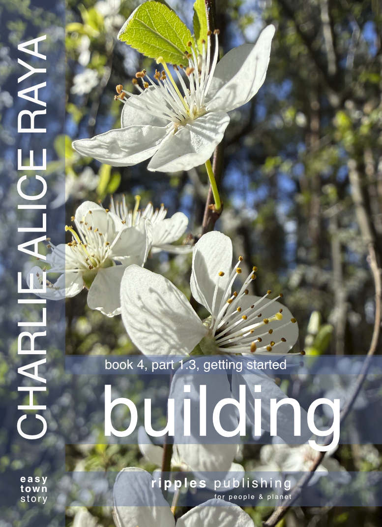 book cover, book 4, building, part 1.3, Charlie Alice Raya